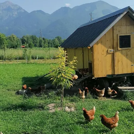 Glamping Mohorjev Grunt *