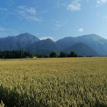 Glamping Mohorjev Grunt