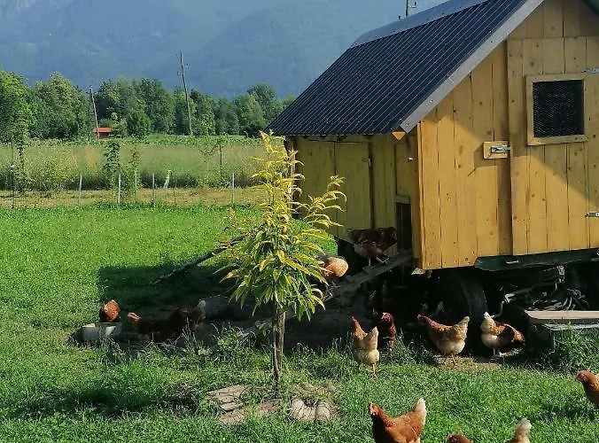 Glamping Mohorjev Grunt *