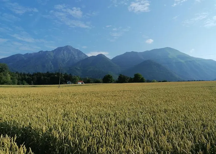 Glamping Mohorjev Grunt